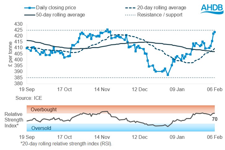 Line graph showing Paris rapeseed futures prices, May-26 contract, in £/tonne.